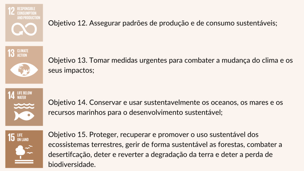 Economia Circular: Assegurar padrões de produção e de consumo sustentáveis