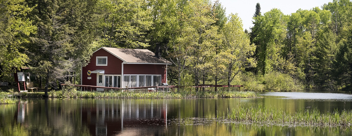 The view of the Parker Reed Shelter on Lac d’Or at the Hirundo Wildlife Refuge in Old Town. Photo: Gabor Degre | BDN