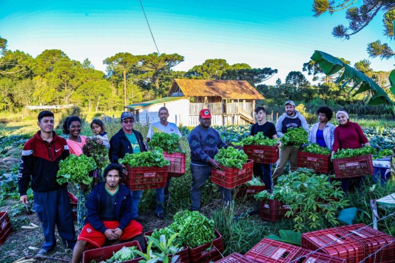 Leia mais sobre o artigo Cooperação é alternativa ao trabalho análogo à escravidão empregado pelo agronegócio