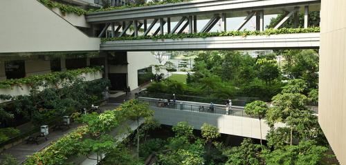 From International Living Future Institute: In Singapore, the Khoo Teck Puat Hospital brings nature and health to its patients