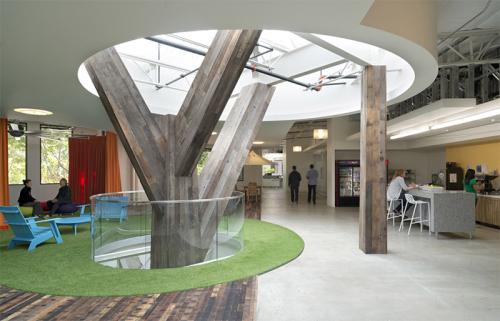 From Terramai: Reclaimed wood flooring and tree inside Google’s Mountain View headquarters